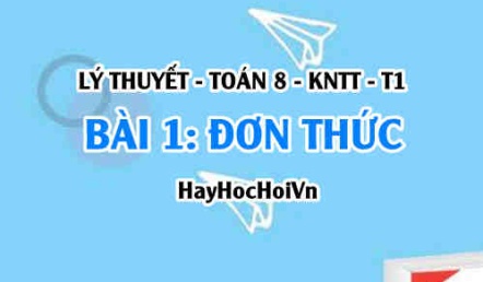 Đơn thức, Bậc của đơn thức là gì? Đơn thức thu gọn và Đơn thức đồng dạng là gì? Ví dụ? Toán 8 bài 1 [b1c1kn1]